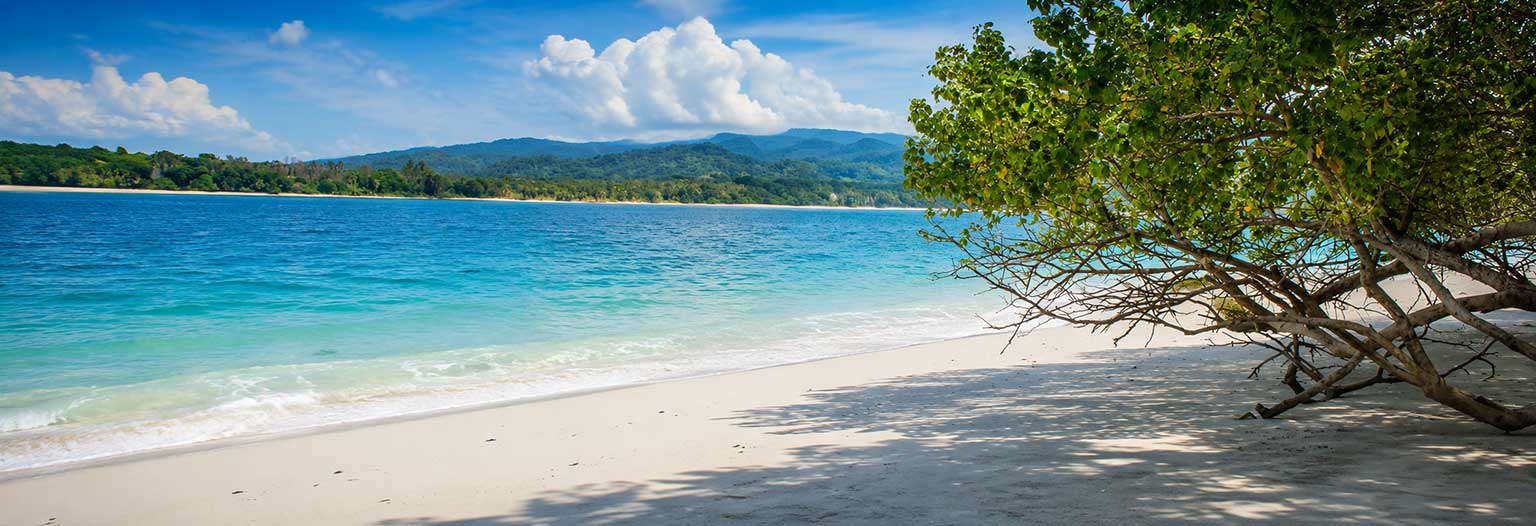 Featured Tours Ujung Kulon National Park