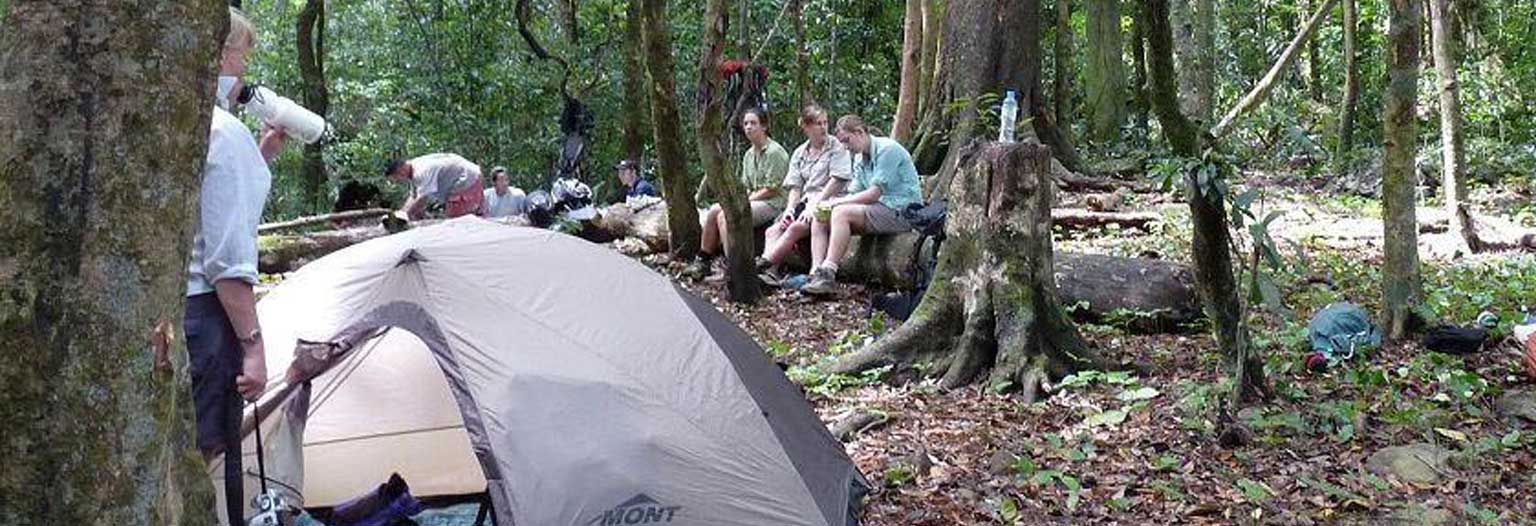 Ujung Kulon Jungle Camping 2 Days 1 Night