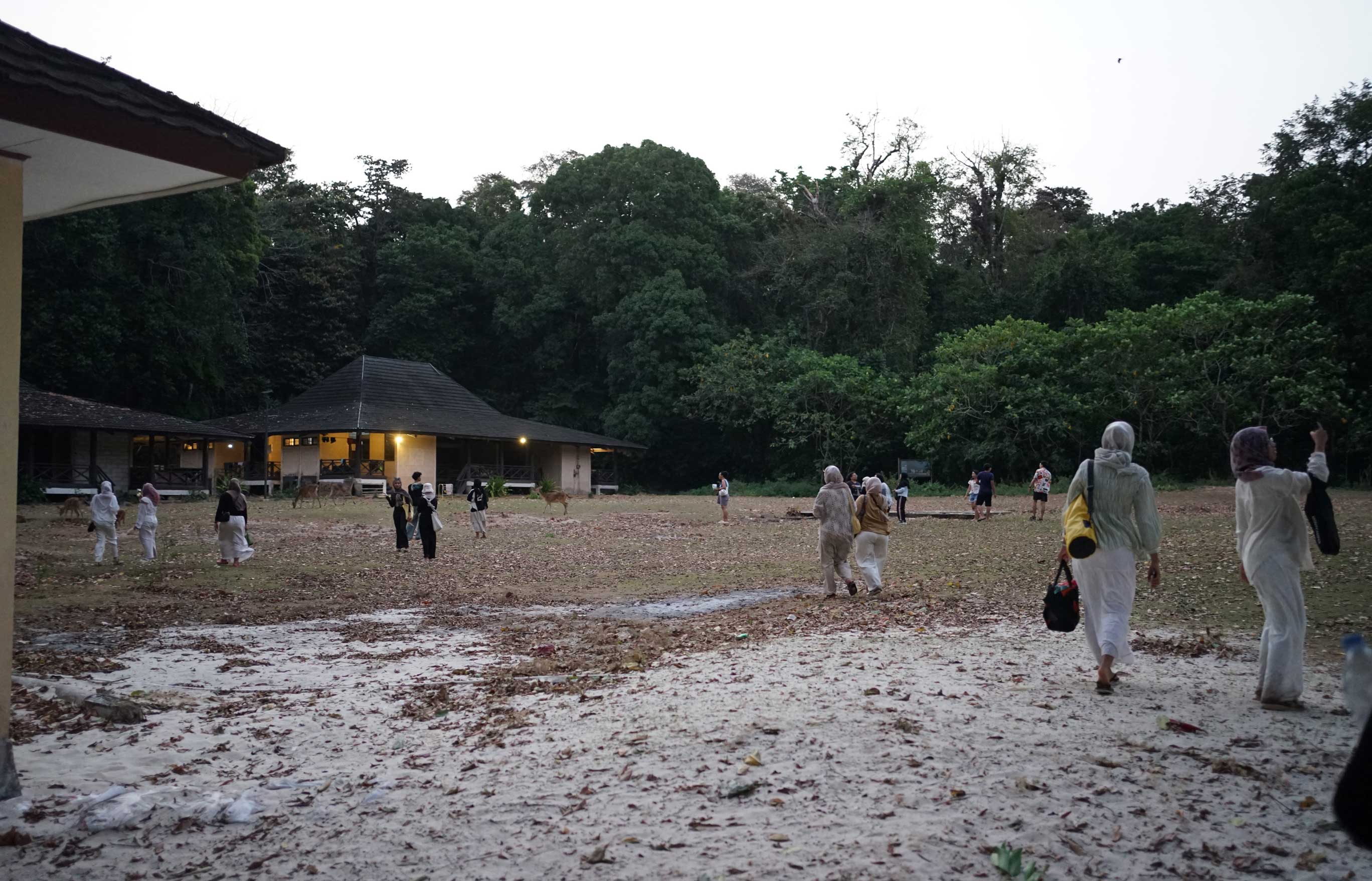 Ujung Kulon Trip