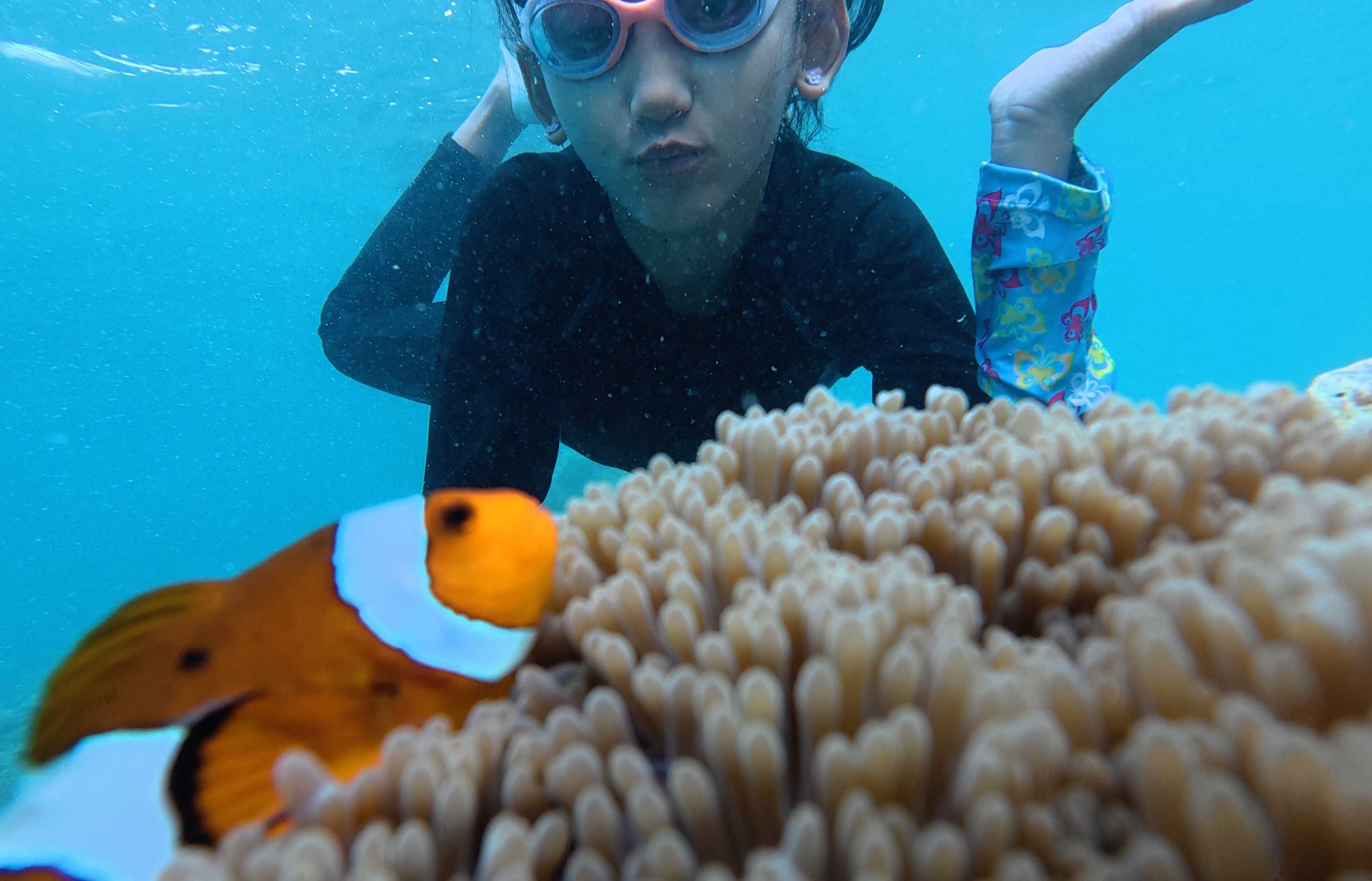 Ujung Kulon Trip